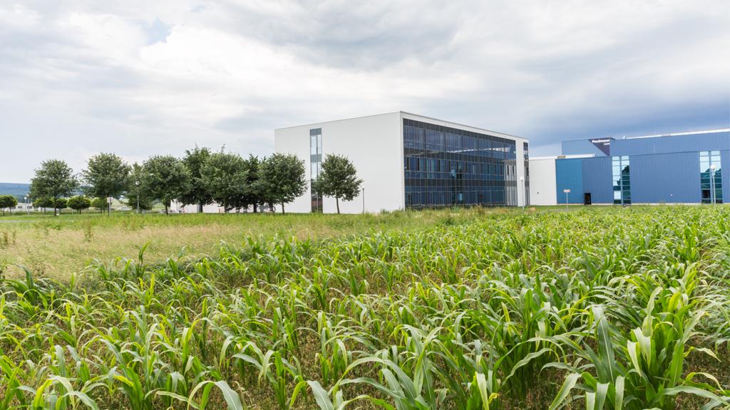 Champ vert avec jeunes plantes devant bâtiment de bureaux moderne, symbole de développement durable.