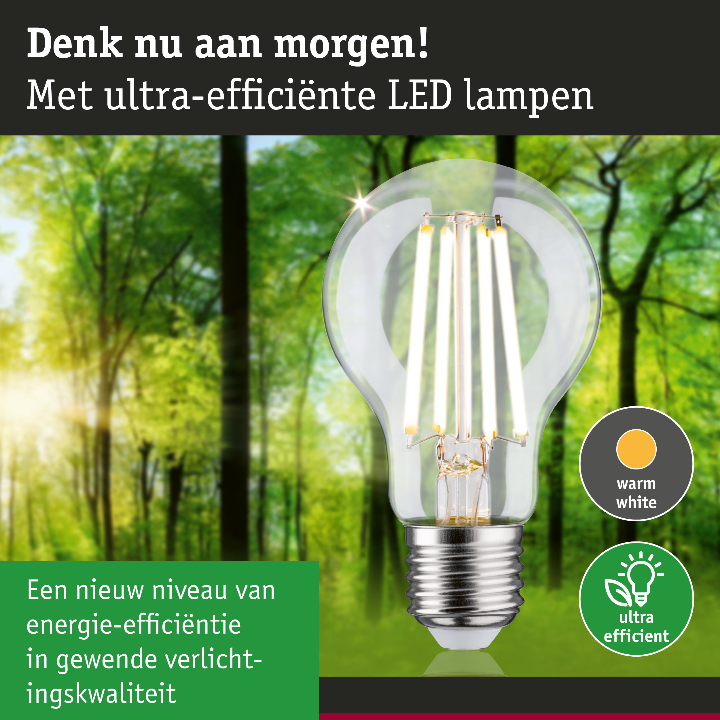 Transparante LED-lamp met warm wit licht en ultra-efficiënte energietechnologie tegen groene bosachtergrond