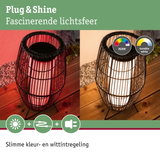 Zwarte buitenlamp met metalen kooi en instelbaar RGBW- en wit licht voor sfeerverlichting