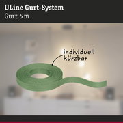 Grünes 5 Meter langes ULine Gurt-System aus robustem Material für flexible Befestigung und Sicherung