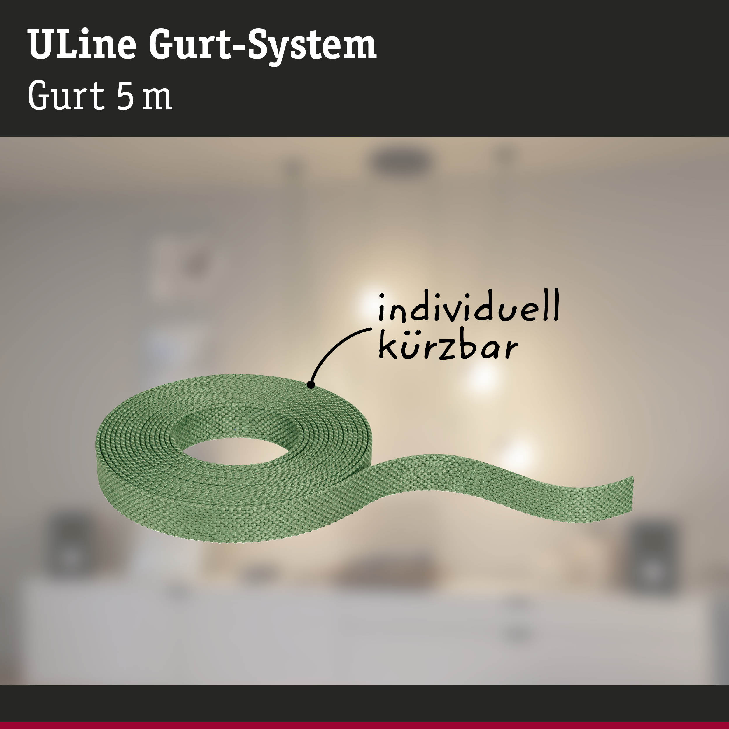 Grünes 5 Meter langes ULine Gurt-System aus robustem Material für flexible Befestigung und Sicherung