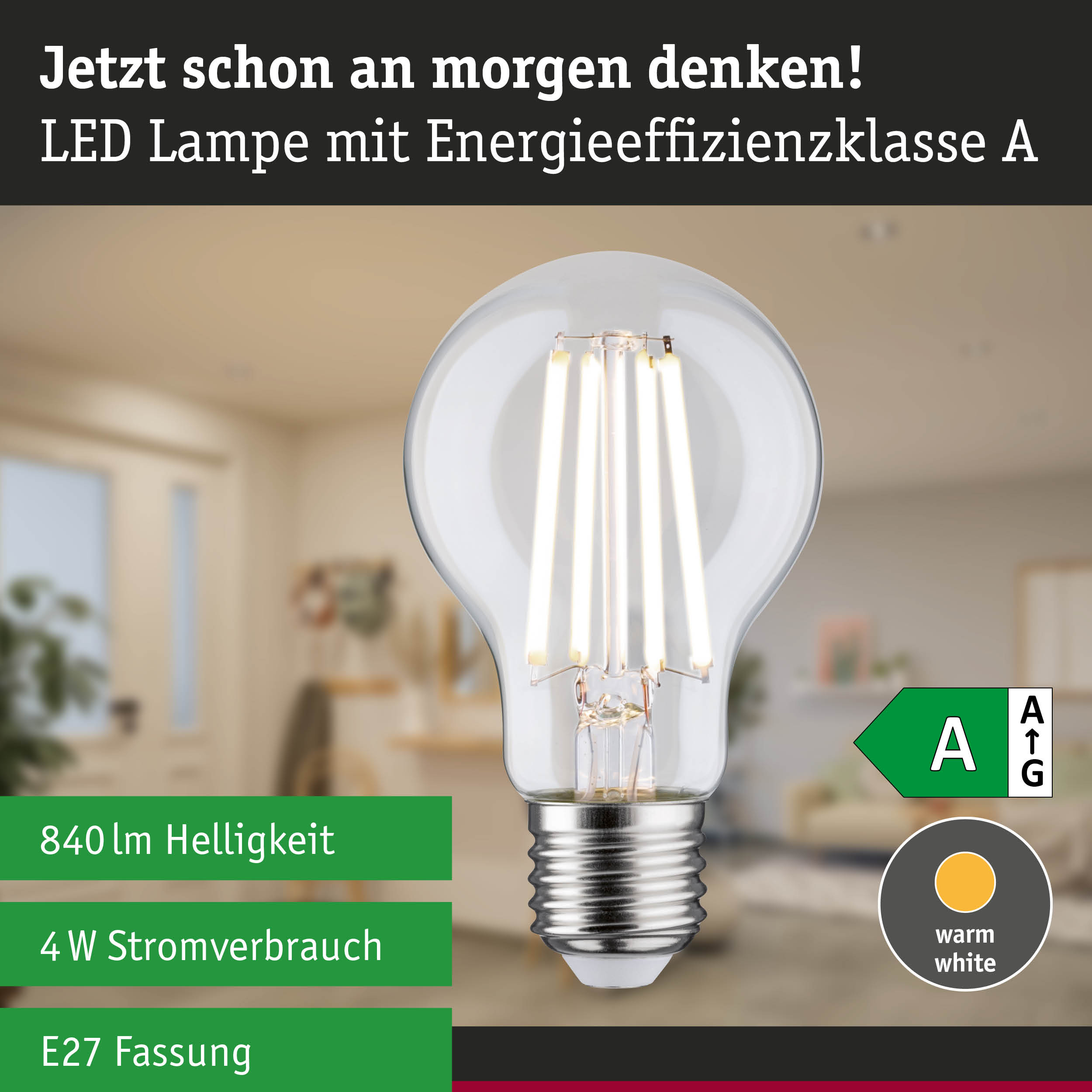 Efficient-Line Filament 230V LED Birne E27 1er-Set 840lm 4W 4000K Klar