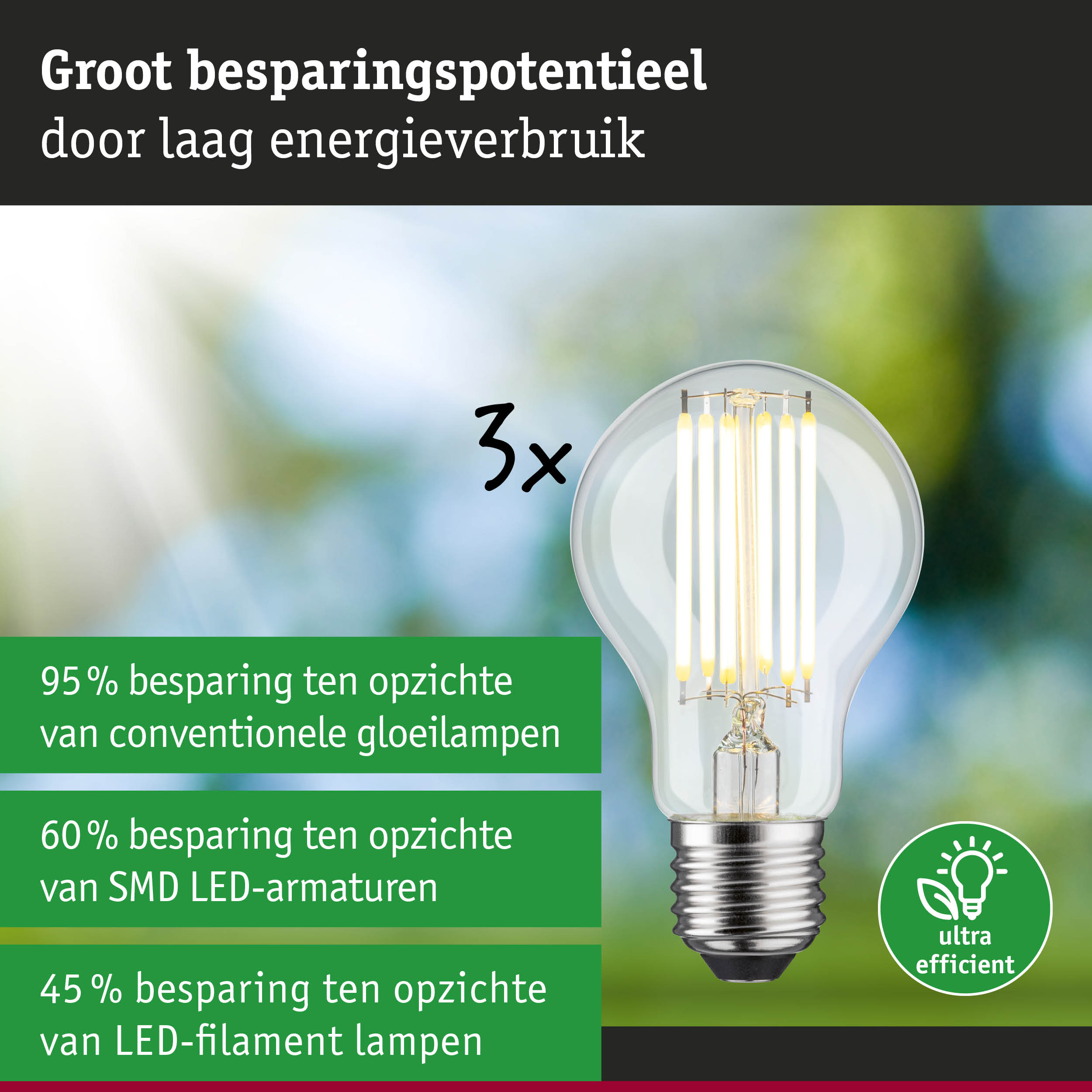 Heldere LED-filamentlamp met hoge energie-efficiëntie en lange levensduur voor duurzaam licht