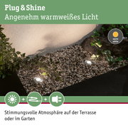 Plug & Shine LED-Gartenstrahler mit warmweißem Licht für stimmungsvolle Terrasse und Gartenbeleuchtung