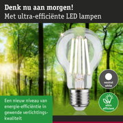 Transparante LED-lamp met neutraal wit licht en ultra-efficiënte technologie tegen groene bosachtergrond
