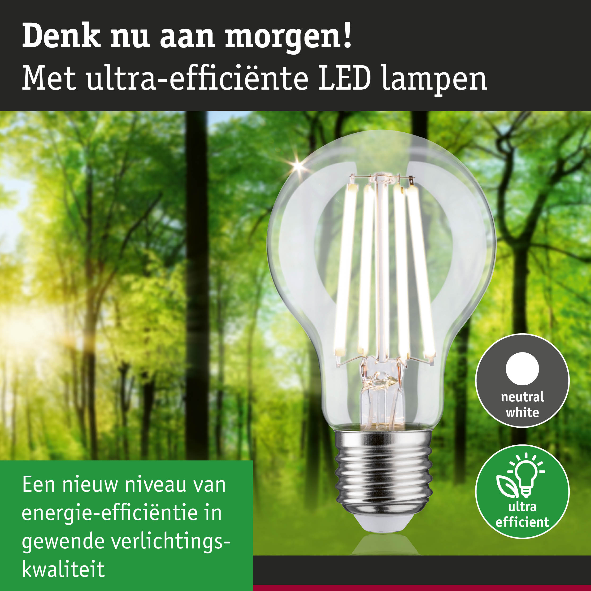 Transparante LED-lamp met neutraal wit licht en ultra-efficiënte technologie tegen groene bosachtergrond