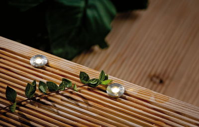 Twee kleine ronde LED-inbouwlampen van roestvrij staal op geribbeld hout met groene tak.