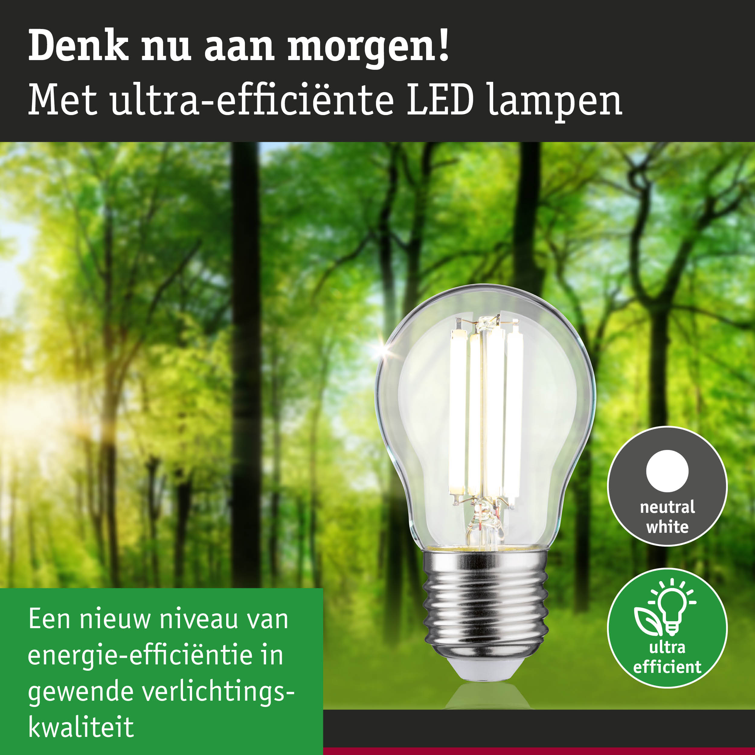 Energiezuinige LED-lamp met neutraal wit licht en ultra-efficiënte technologie in bosrijke omgeving