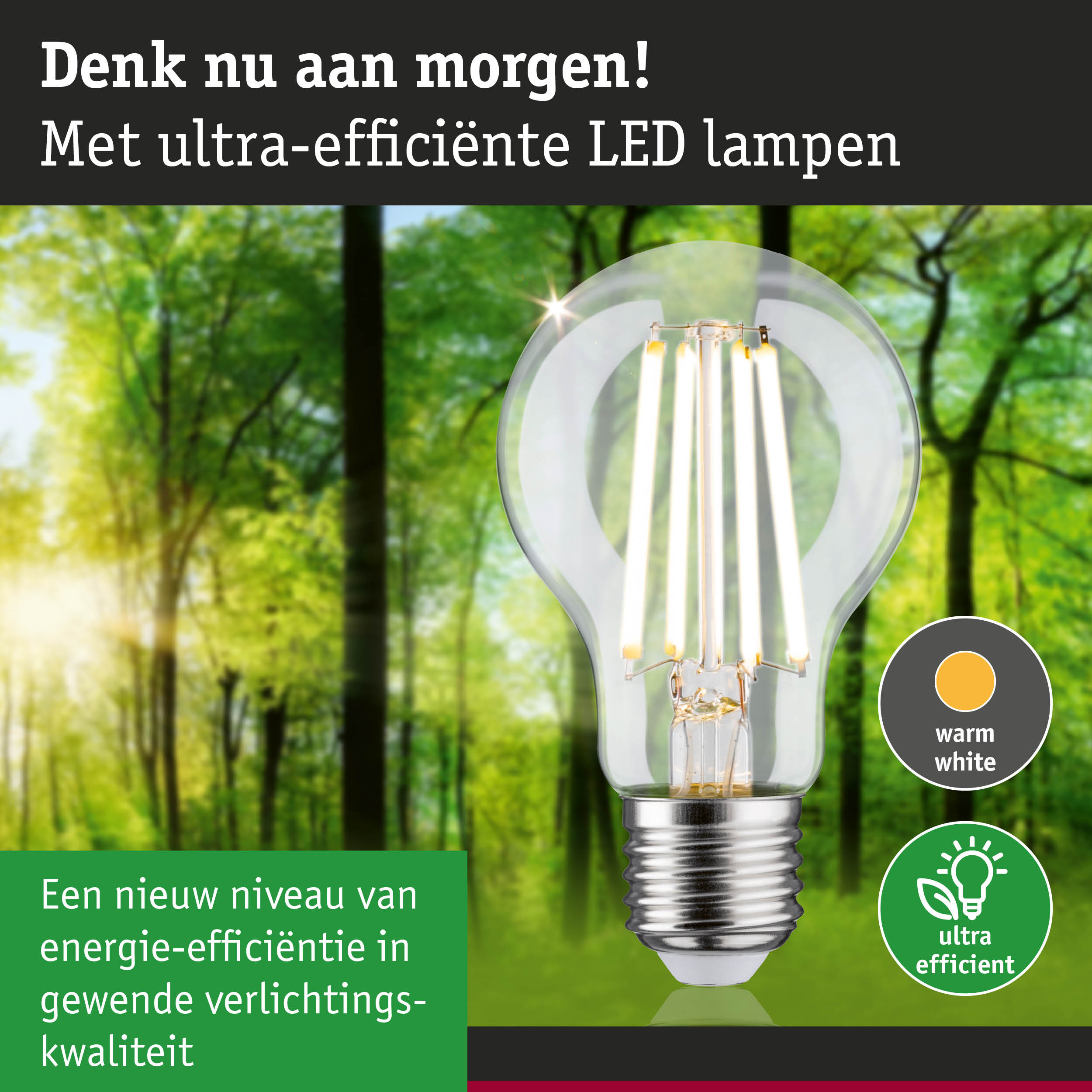 Transparante LED-lamp met warm wit licht en ultra-efficiënt energieverbruik tegen groene bosachtergrond