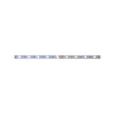 LED strip with warm white and cool white LEDs on white base for versatile lighting solutions