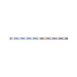 LED strip with warm white and cool white LEDs on white base for versatile lighting solutions