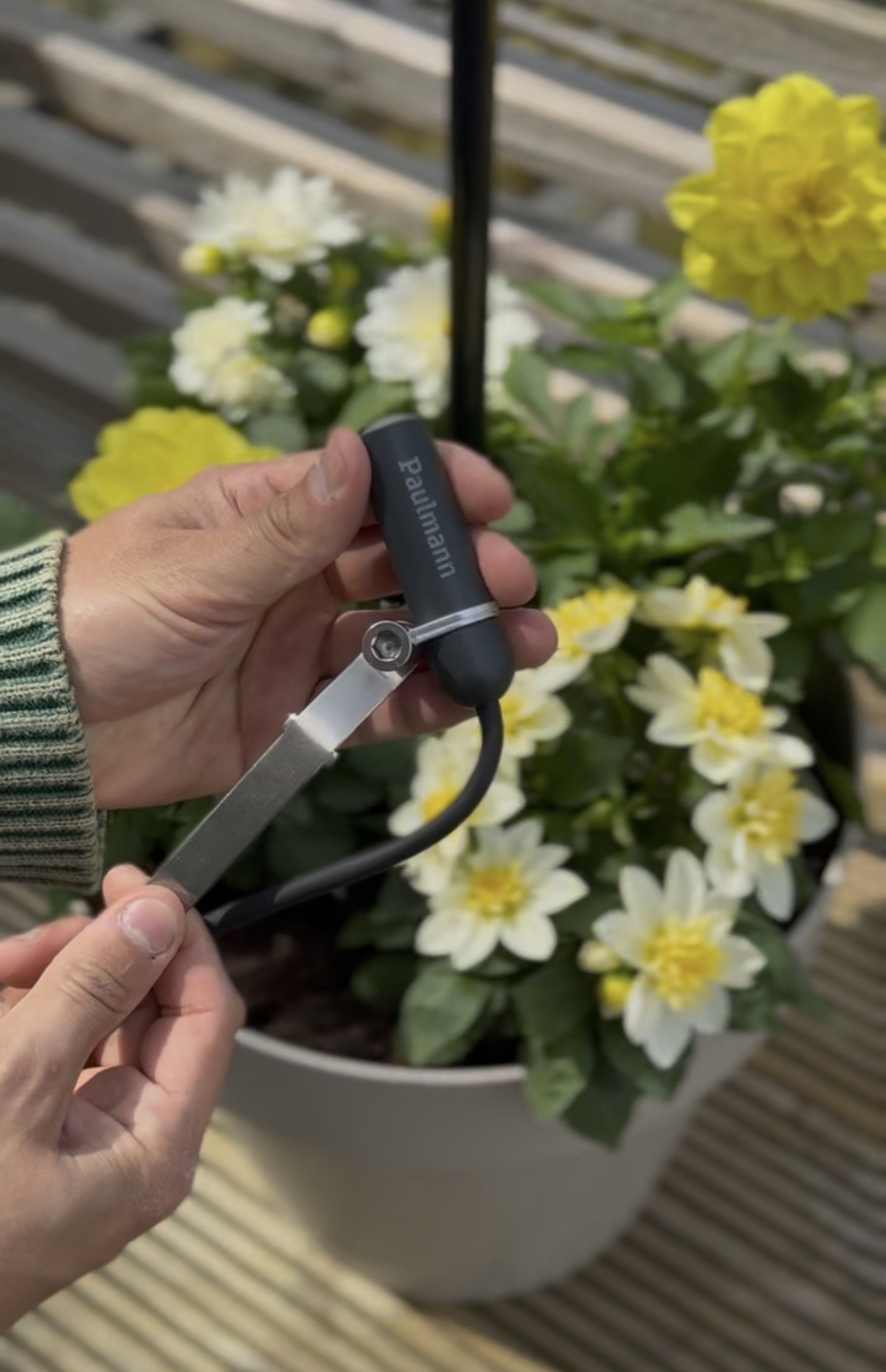 Hand holding black Paulmann LED garden spotlight with metal bracket in front of pot with yellow-white flowers