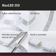 Bande LED MaxLED 250 avec 30 LEDs par mètre, ruban adhésif au dos et connexion facile