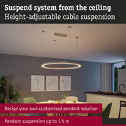 Height-adjustable ceiling suspension system with cable and modern LED ring light in dining room