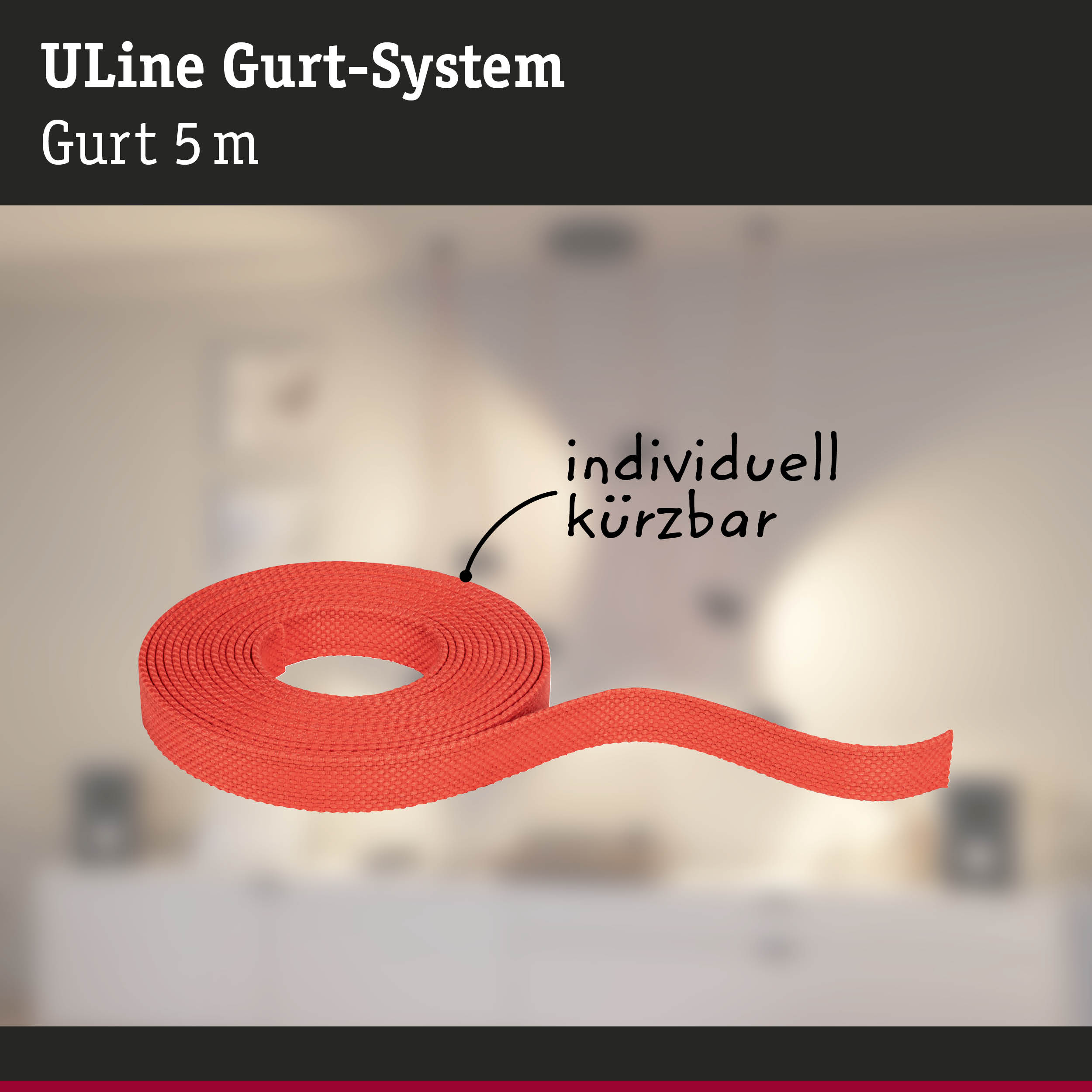 Rotes 5 Meter langes ULine Gurt-System aus robustem Material für flexible Befestigung und Sicherheit
