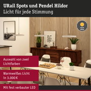 Moderne Pendelleuchten in warmweißem Licht über Esstisch mit Schachspiel und Pflanzen im Raum mit Holzvertäfelung