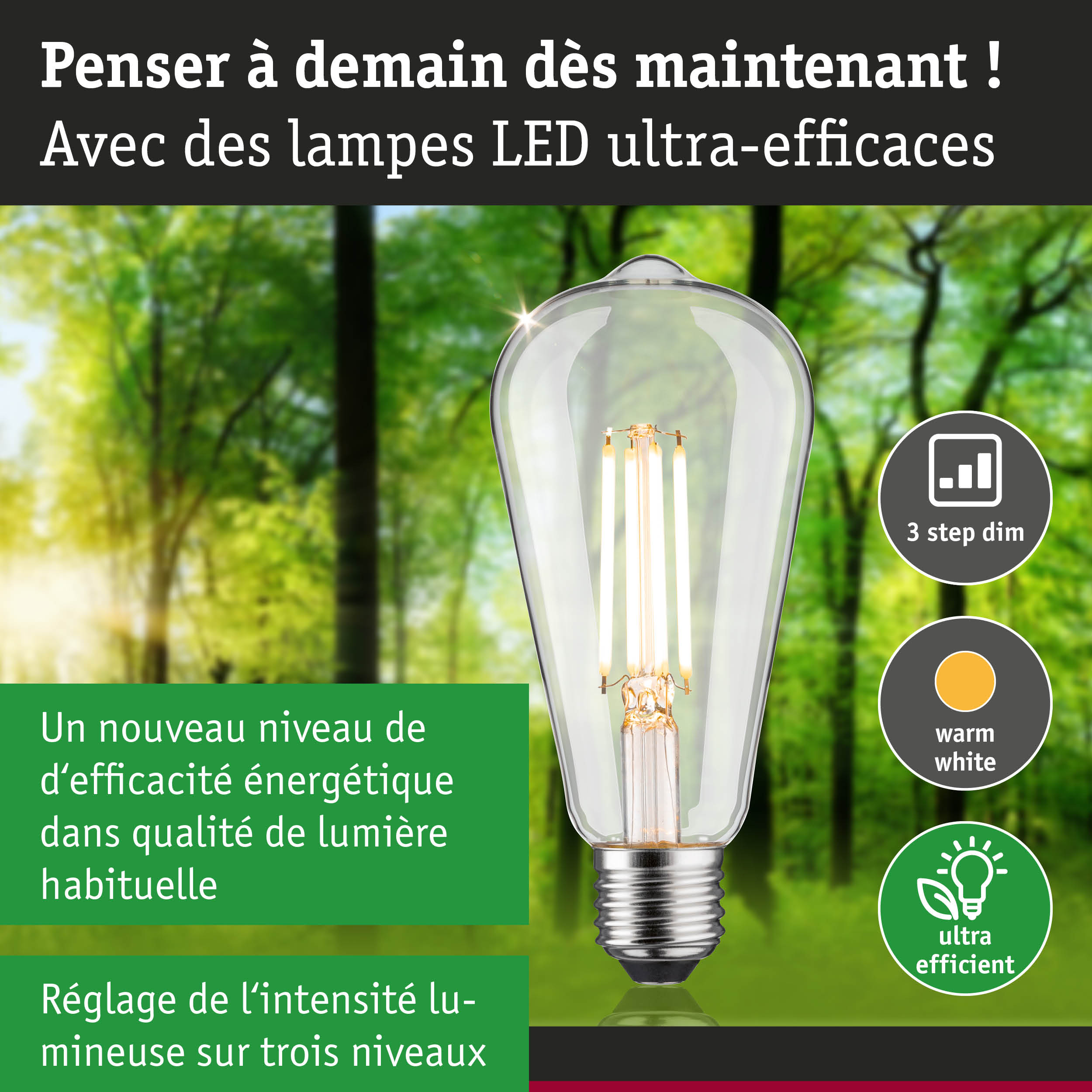 Ampoule LED claire avec lumière blanc chaud et réglage d'intensité sur trois niveaux, économique en énergie
