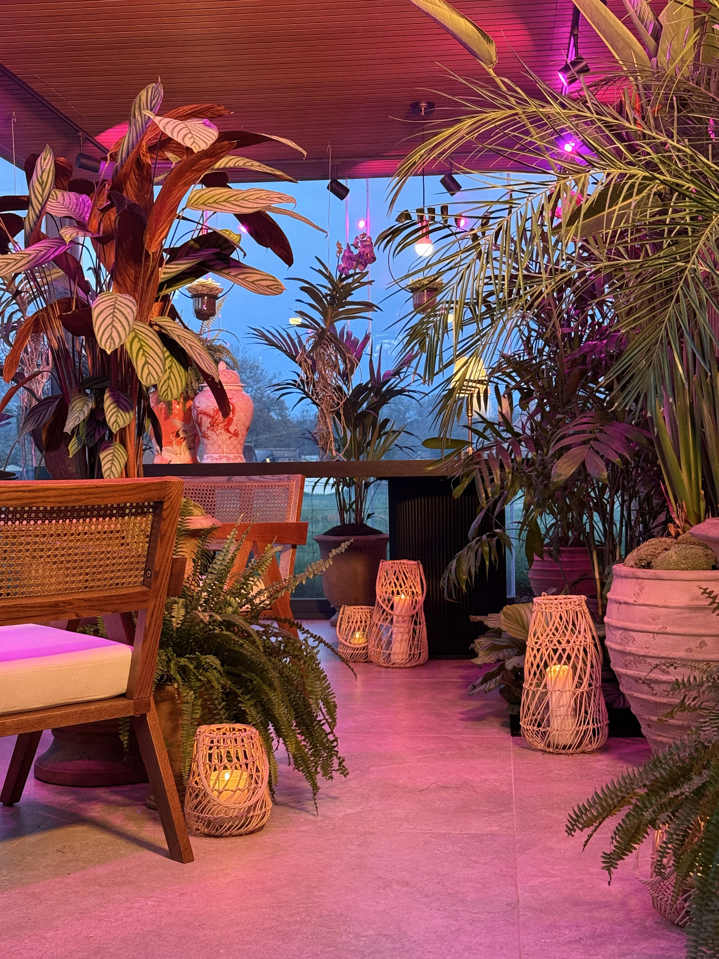 Cozy conservatory with wooden chair, lush green plants and decorative candles in woven baskets at dusk