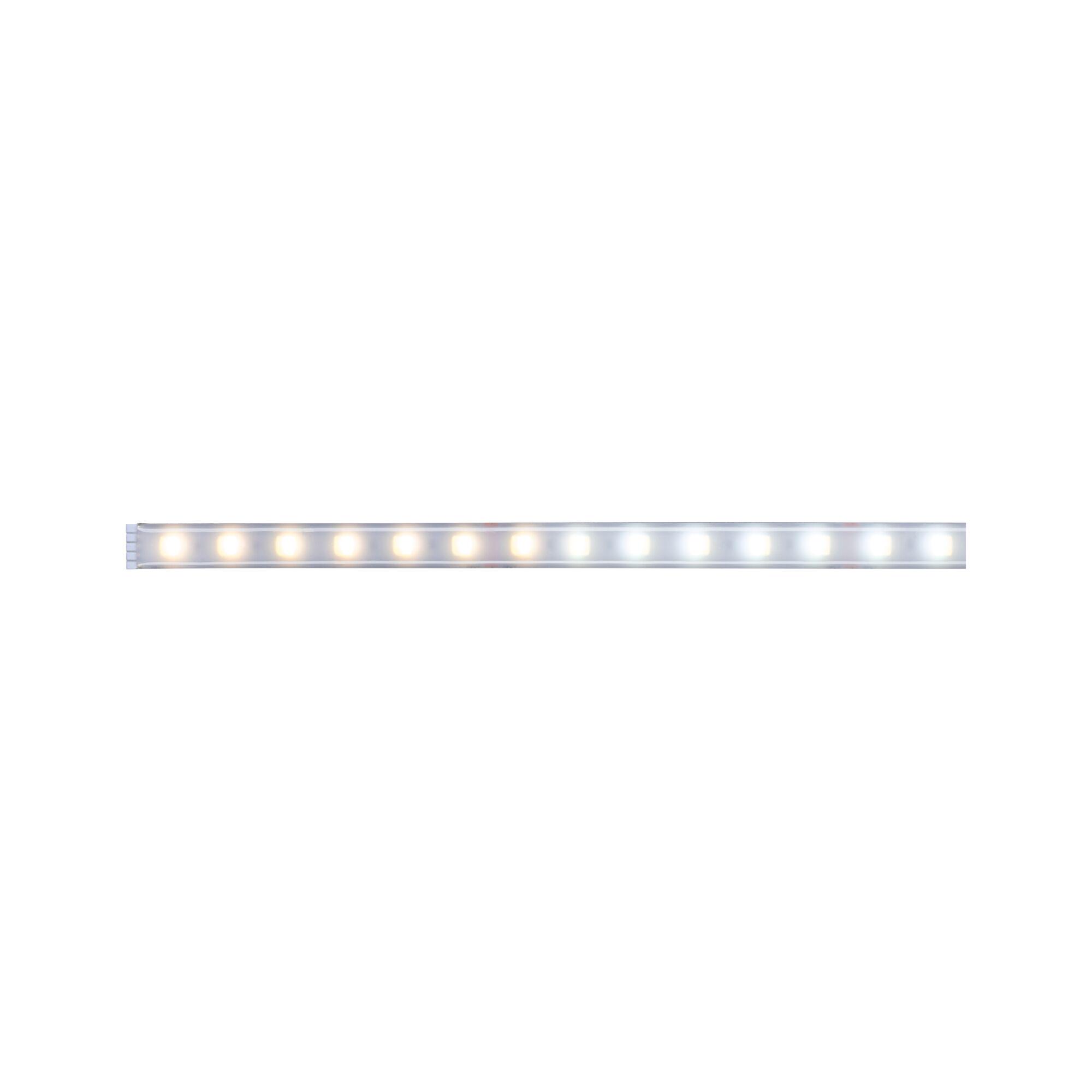 LED light strip with warm and cool white LEDs in aluminum housing for versatile lighting