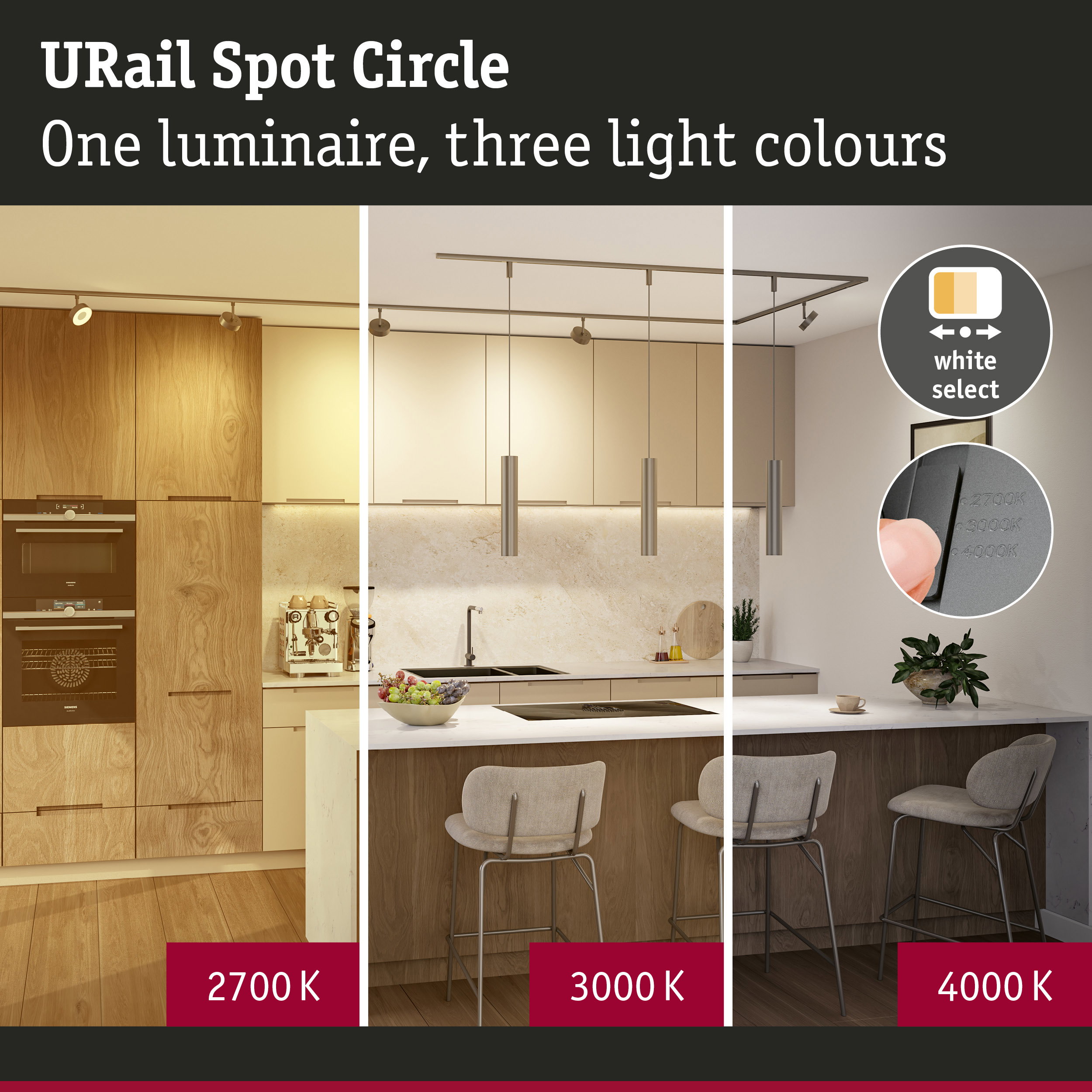URail Rail spot 3-Step-Dim Circle 220lm 3W White Select dimmable 230V Titanium
