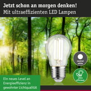 Energiesparende LED-Lampe mit neutralweißem Licht und hoher Effizienz vor Waldhintergrund