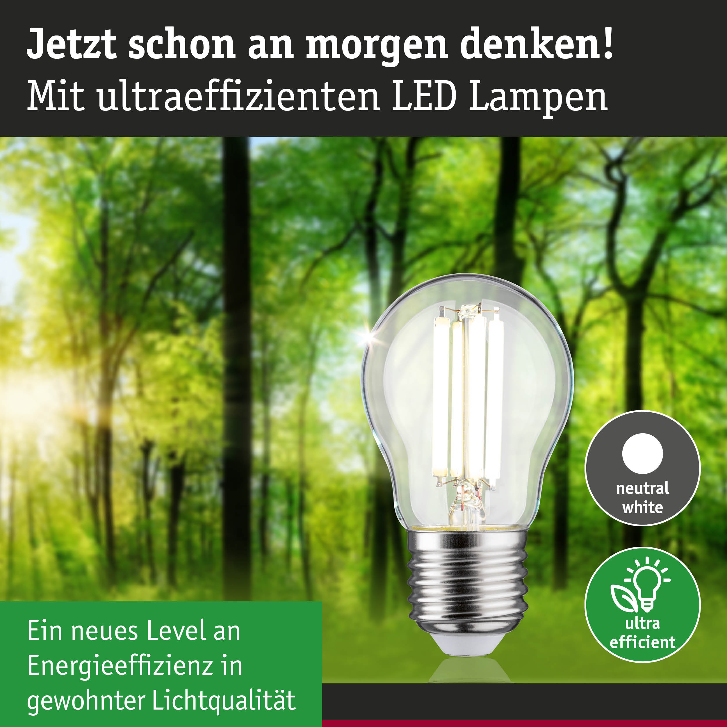 Energiesparende LED-Lampe mit neutralweißem Licht und hoher Effizienz vor Waldhintergrund