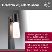 Zwarte metalen buitenwandlamp met witte glazen kap, energiezuinige LED-verlichting