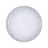Round ceiling light with silver frame and milky plastic diffuser for indoor lighting