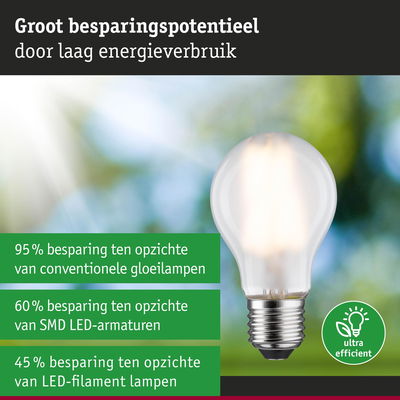 Energiezuinige gloeilamp met transparant glas en metalen fitting toont hoog besparingspotentieel