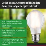 Energiezuinige witte LED-lamp met metalen fitting, met groot besparingspotentieel en ultra efficiënt ontwerp.