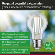 Ampoule LED économique à verre transparent et culot argenté pour un éclairage efficace et écologique