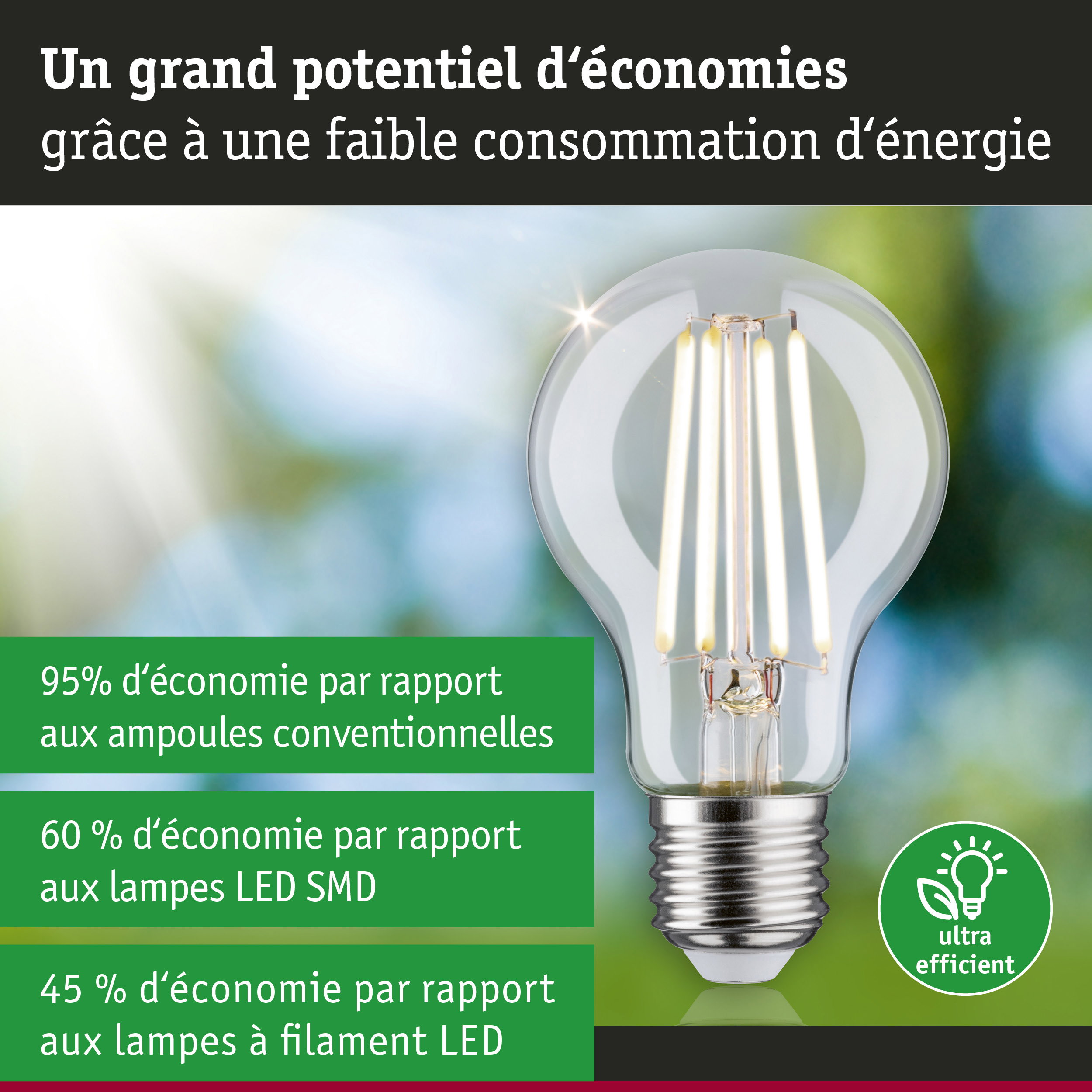 Ampoule LED économique à verre transparent et culot argenté pour un éclairage efficace et écologique