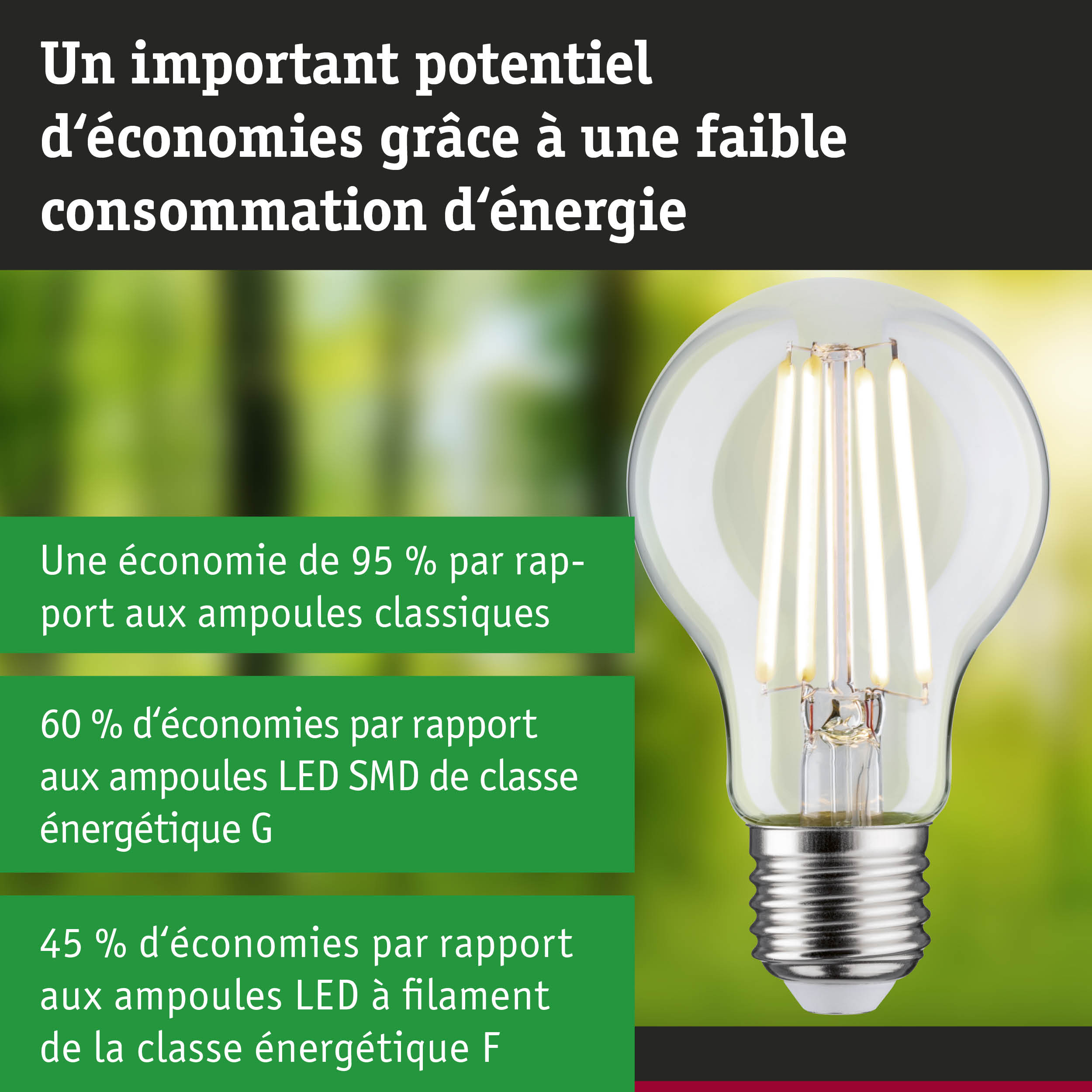 Ampoule LED économique à verre transparent et culot argenté pour un éclairage efficace et écologique