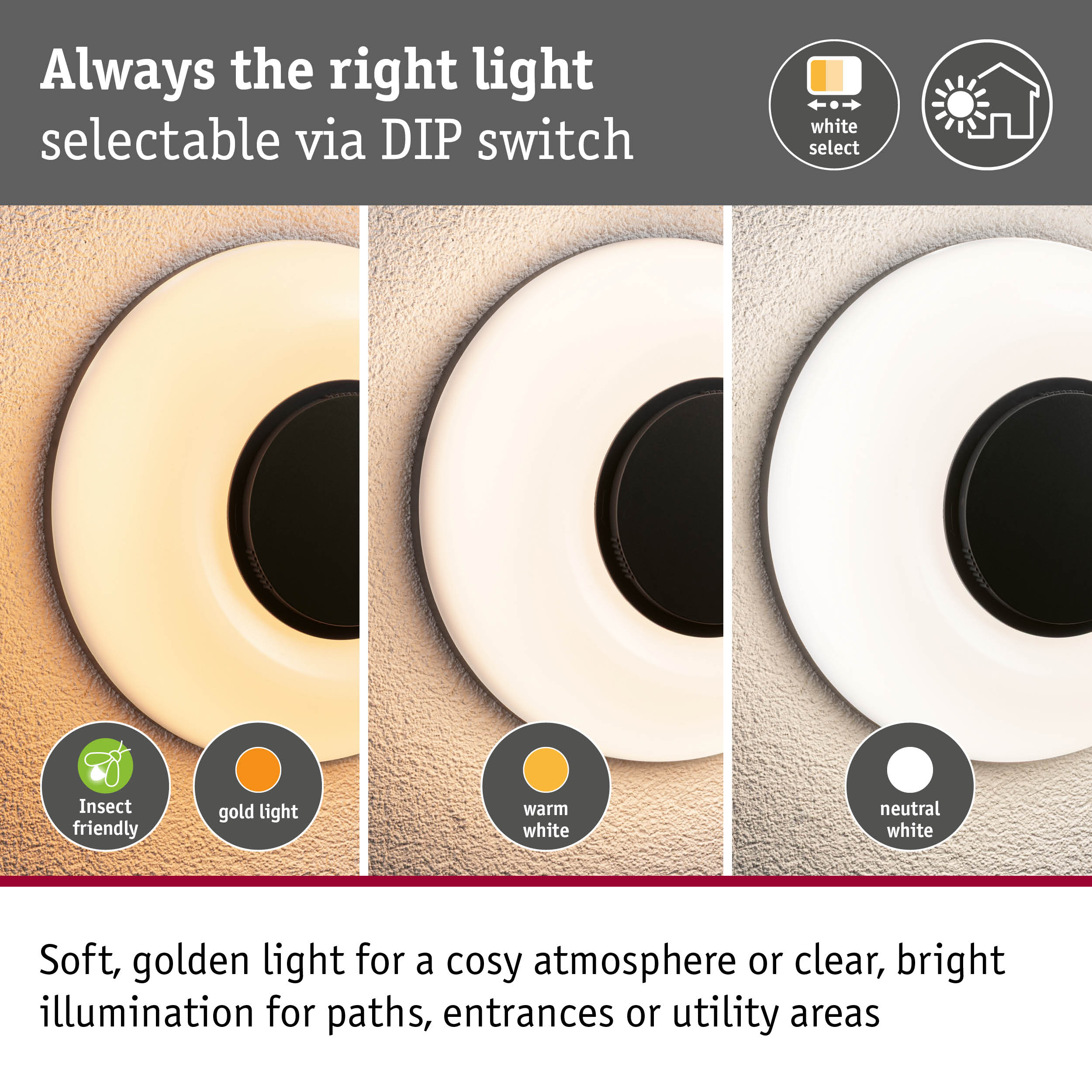 LED Exterior wall light Aureva IP65 round 220mm 2200 - 4000K 20,5W 1730lm 230V Anthracite/White Polycarbonate