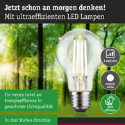 Energiesparende LED-Lampe mit neutralweißem Licht und 3-Stufen-Dimmfunktion vor Waldhintergrund