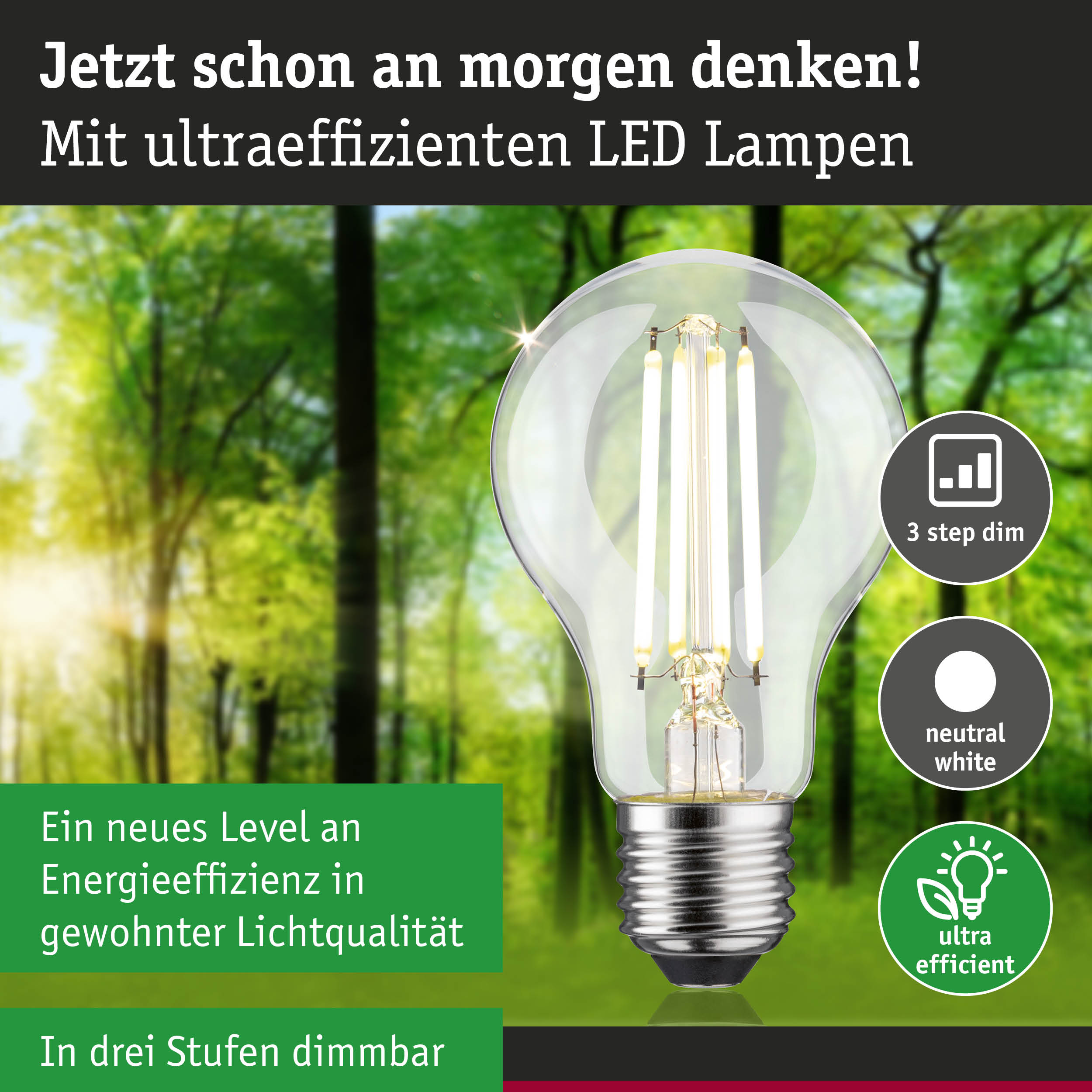 Energiesparende LED-Lampe mit neutralweißem Licht und 3-Stufen-Dimmfunktion vor Waldhintergrund