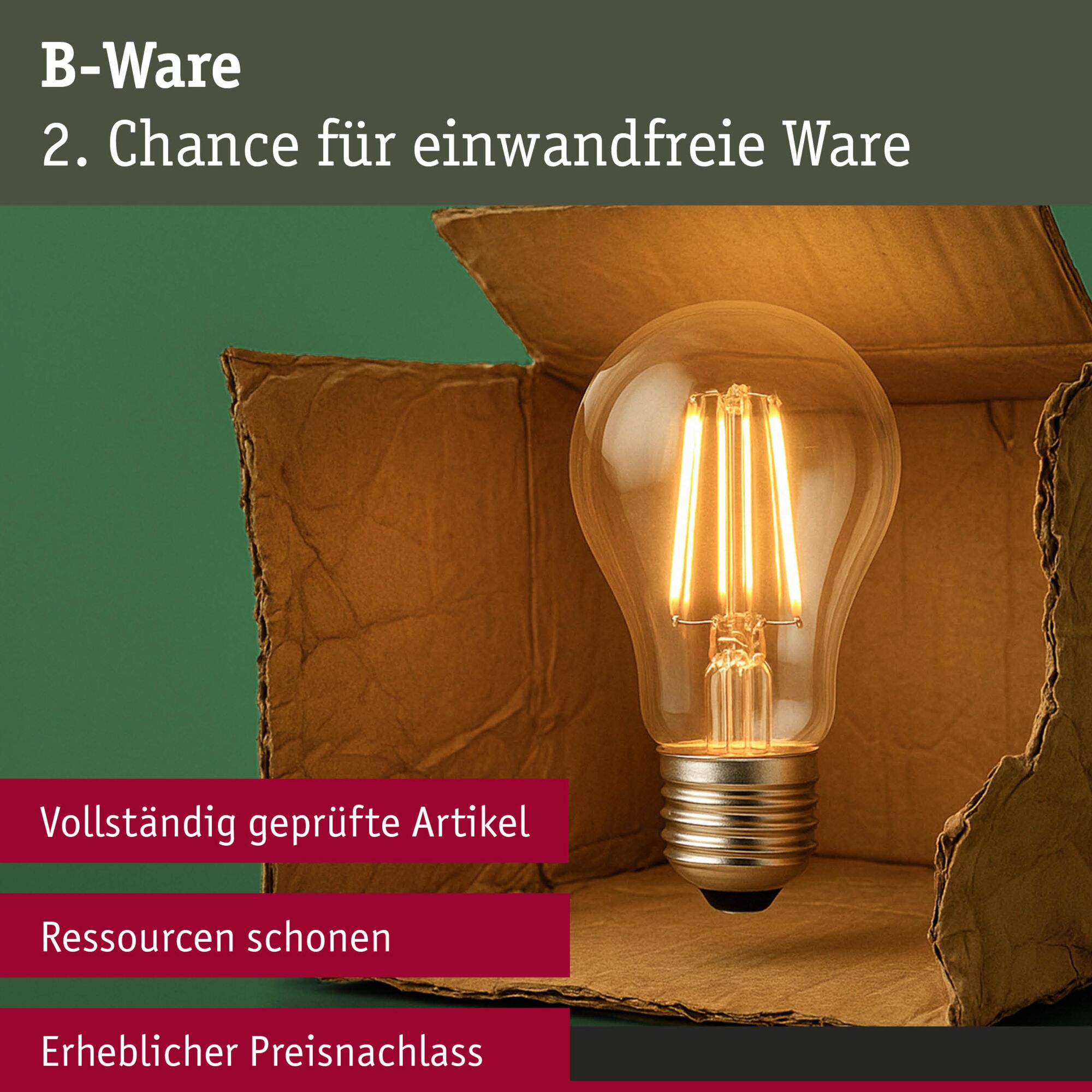 Paulmann "YourLED LED Strip B-Ware Warmweiß" günstig online kaufen