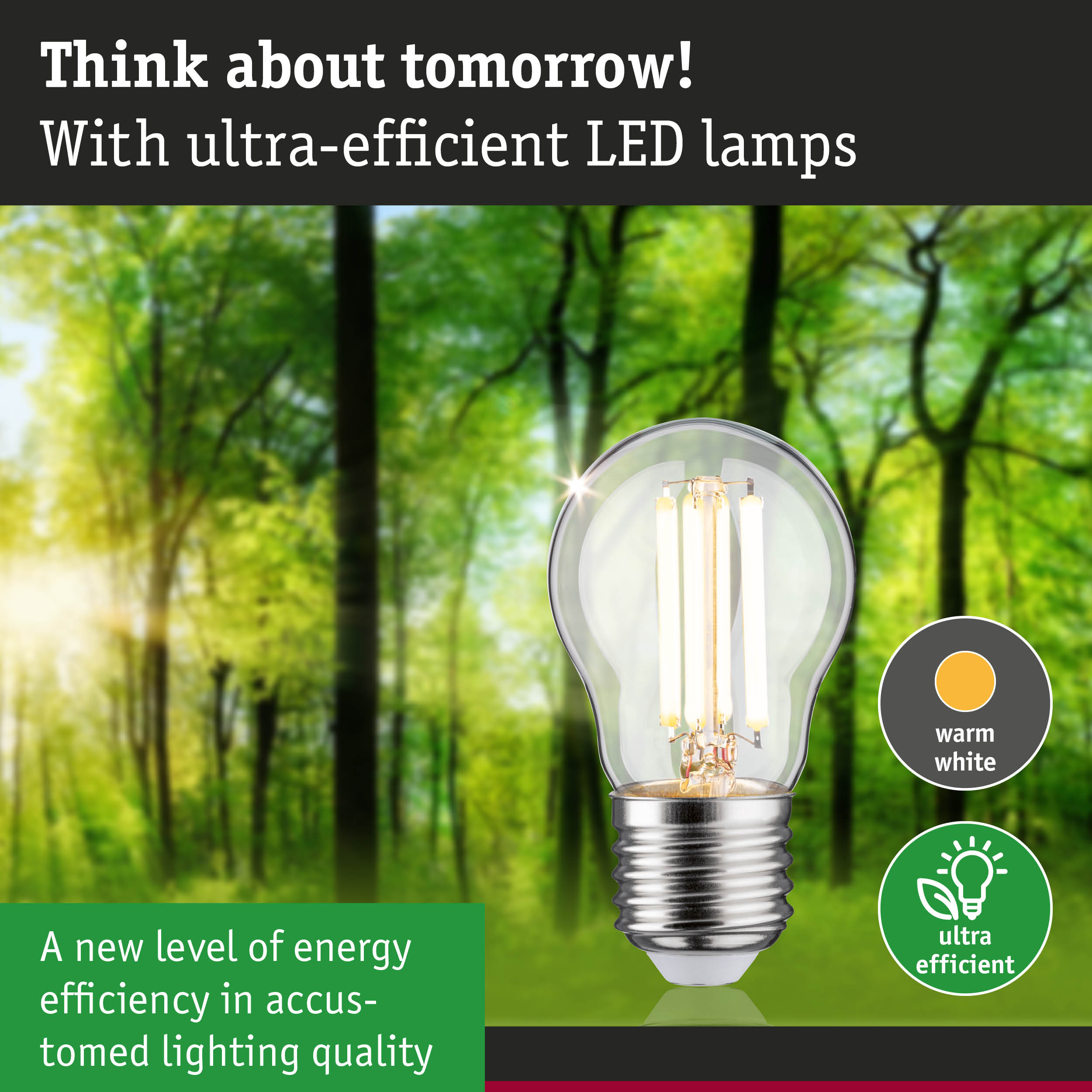Clear LED bulb with warm white light and high energy efficiency against green forest background