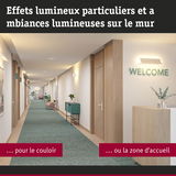 Couloir moderne avec tapis vert et éclairage mural pour une ambiance accueillante en zone d'accueil