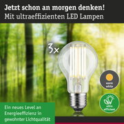 Klassische LED-Glühbirne mit warmweißem Licht und hoher Energieeffizienz vor grünem Waldhintergrund