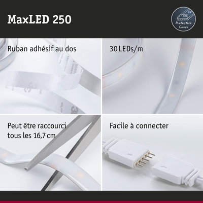 Bande LED MaxLED 250 avec protection, 30 LED/m, ruban adhésif au dos, facile à couper et connecter