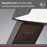 Nahaufnahme einer schwarzen Metallleuchte mit austauschbarem Leuchtmittel und modernem Design