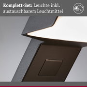 Schwarze Außenwandleuchte mit integriertem, austauschbarem Leuchtmittel und modernem Design