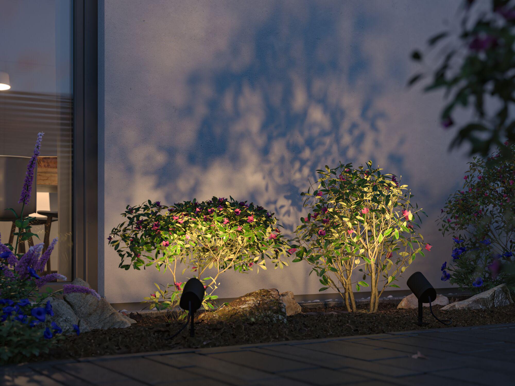 Black LED garden spotlights illuminate green shrubs with pink flowers against house wall at dusk