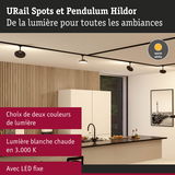 Spots URail et Pendulum Hildor noirs avec lumière LED blanche chaude fixe pour ambiances intérieures