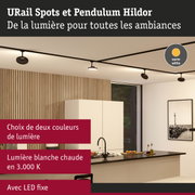 Spots URail noirs modernes avec lumière LED blanc chaud dans une cuisine avec panneaux en bois et îlot.