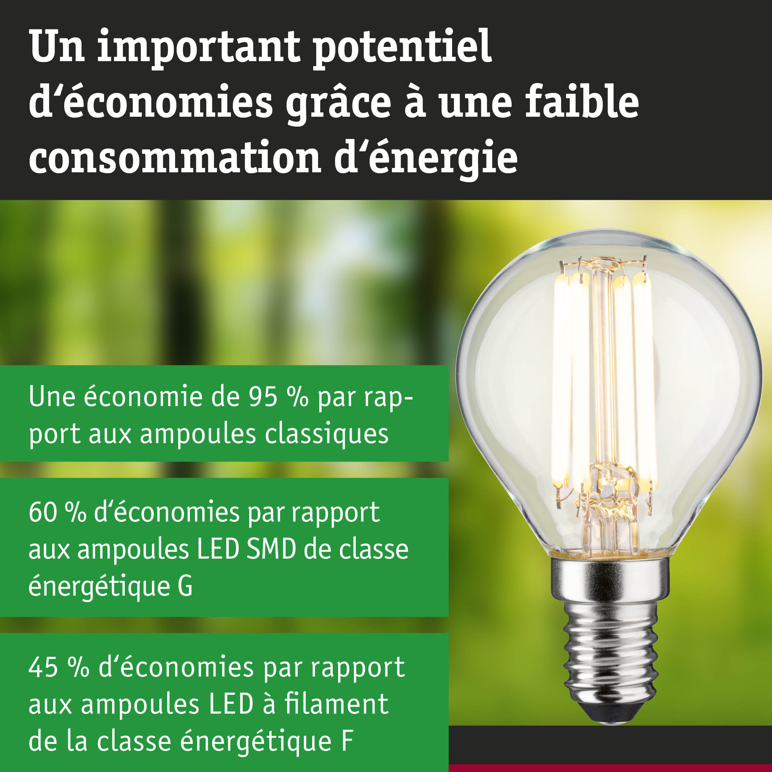 Ampoule LED économique à verre transparent et base argentée pour un éclairage durable