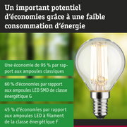 Ampoule LED économique à verre transparent et base argentée pour un éclairage durable