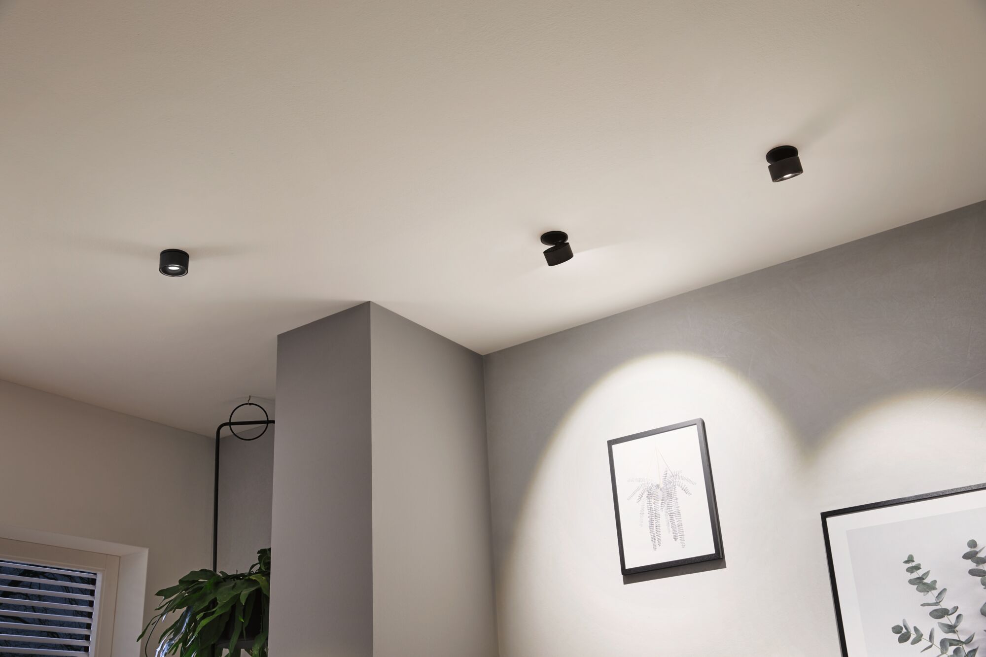 Trois spots LED de plafond noirs en métal éclairent un mur moderne avec des tableaux de plantes dans le salon.