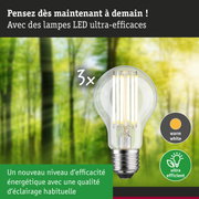 Ampoule LED à lumière blanc chaud avec haute efficacité énergétique pour éclairage durable